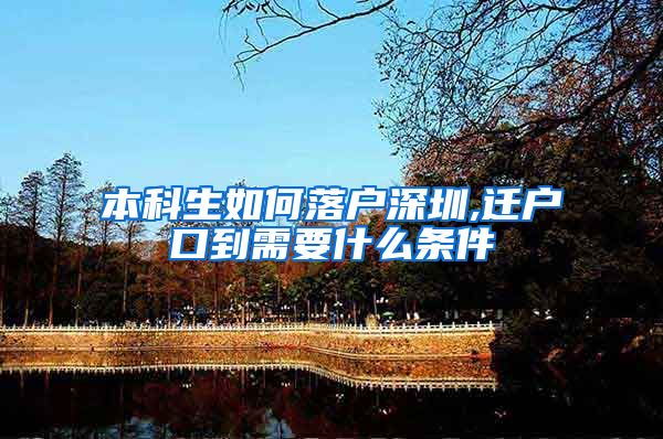 本科生如何落户深圳,迁户口到需要什么条件