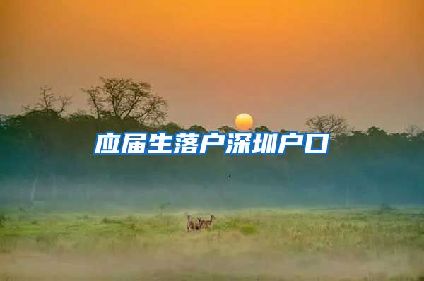 应届生落户深圳户口