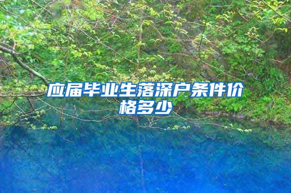 应届毕业生落深户条件价格多少