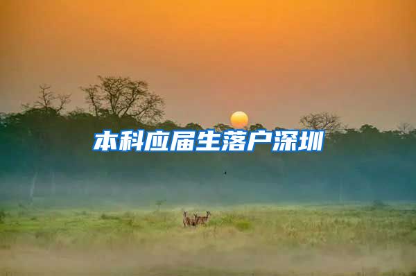 本科应届生落户深圳
