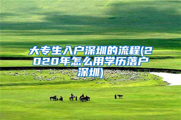 大专生入户深圳的流程(2020年怎么用学历落户深圳)