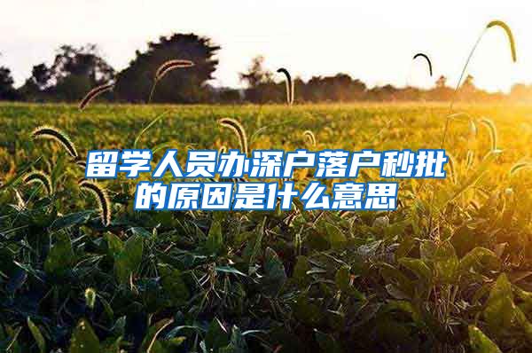 留学人员办深户落户秒批的原因是什么意思