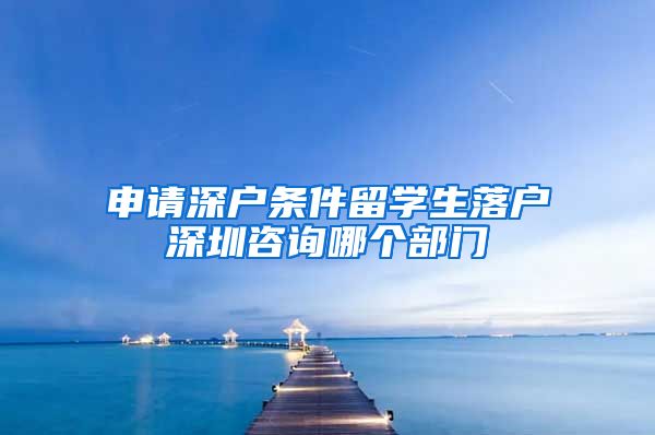 申请深户条件留学生落户深圳咨询哪个部门