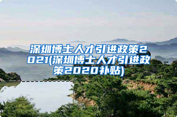 深圳博士人才引进政策2021(深圳博士人才引进政策2020补贴)