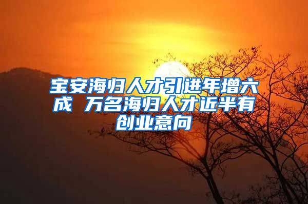 宝安海归人才引进年增六成 万名海归人才近半有创业意向