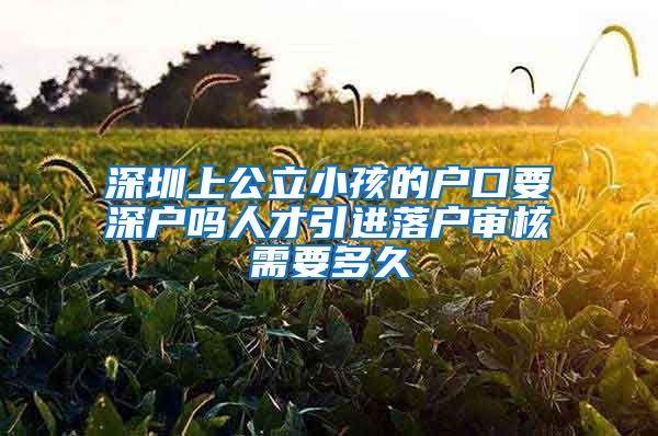 深圳上公立小孩的户口要深户吗人才引进落户审核需要多久