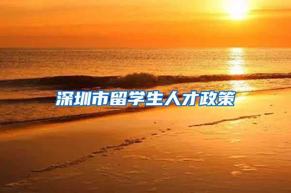 深圳市留学生人才政策