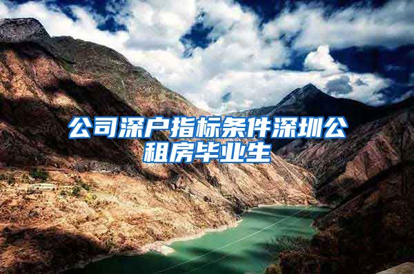公司深户指标条件深圳公租房毕业生
