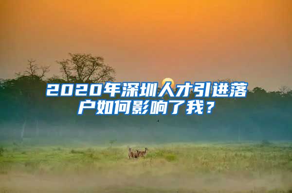 2020年深圳人才引进落户如何影响了我？