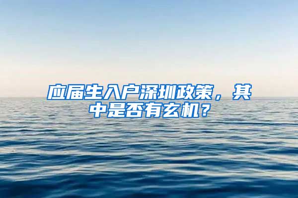 应届生入户深圳政策，其中是否有玄机？