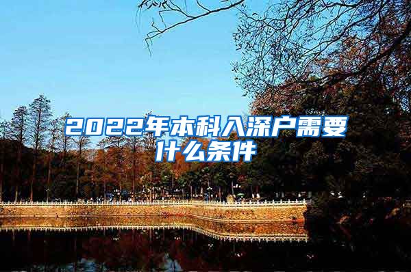 2022年本科入深户需要什么条件