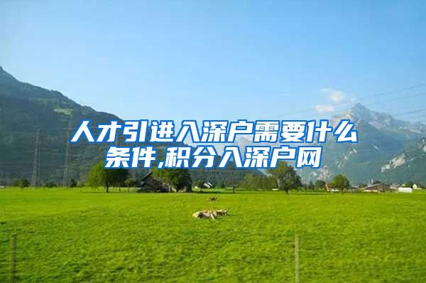 人才引进入深户需要什么条件,积分入深户网