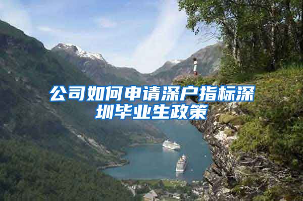 公司如何申请深户指标深圳毕业生政策