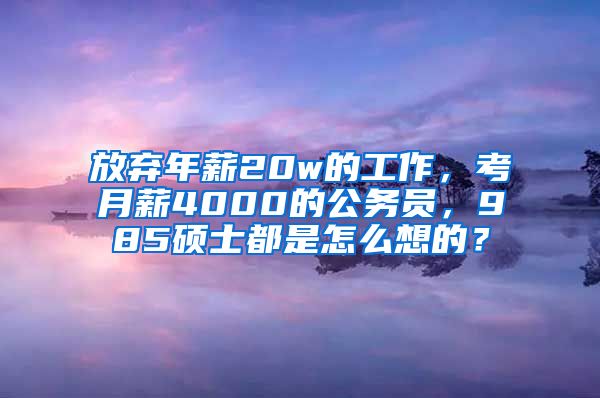 放弃年薪20w的工作，考月薪4000的公务员，985硕士都是怎么想的？