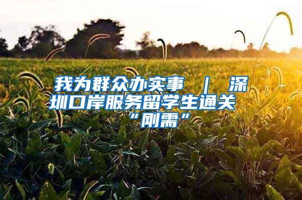 我为群众办实事 ｜ 深圳口岸服务留学生通关“刚需”