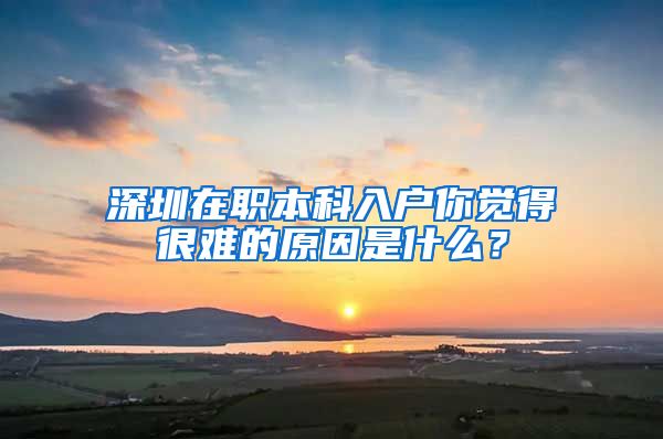 深圳在职本科入户你觉得很难的原因是什么？