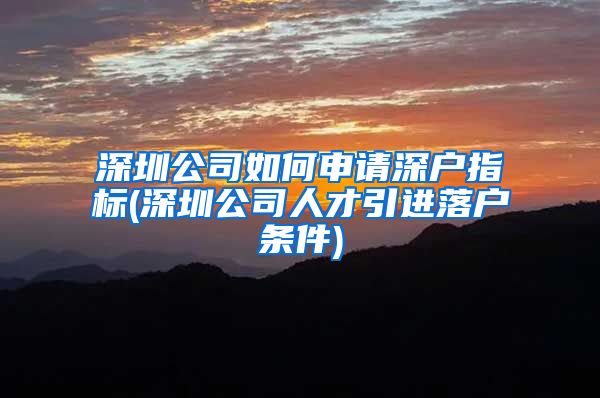 深圳公司如何申请深户指标(深圳公司人才引进落户条件)