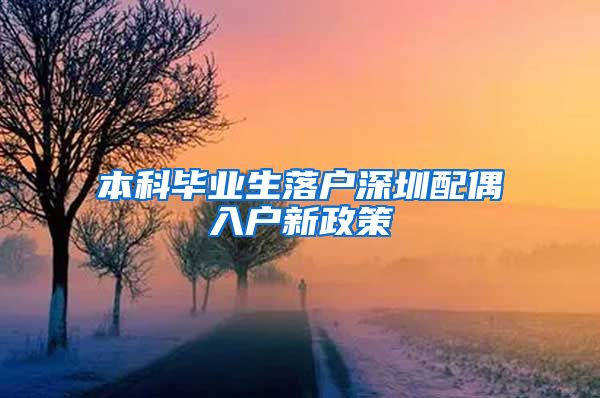 本科毕业生落户深圳配偶入户新政策
