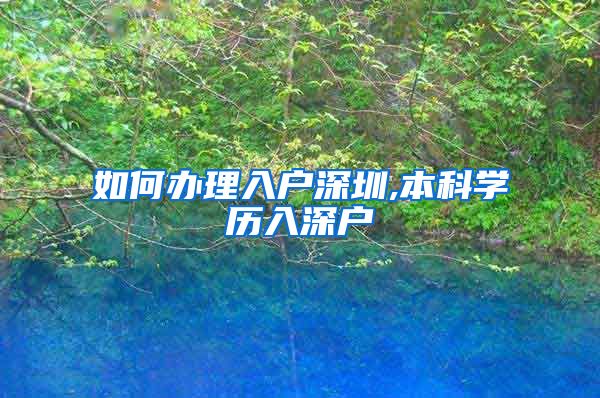 如何办理入户深圳,本科学历入深户