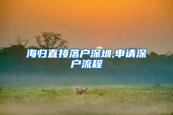 海归直接落户深圳,申请深户流程