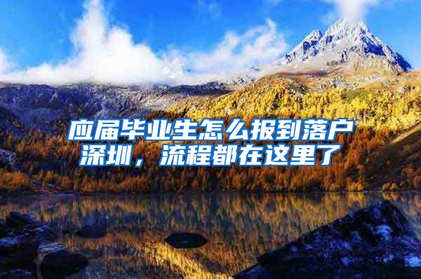 应届毕业生怎么报到落户深圳，流程都在这里了