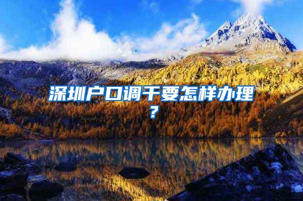 深圳户口调干要怎样办理？