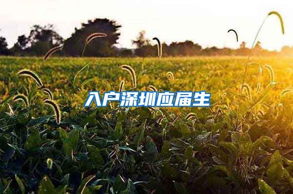 入户深圳应届生