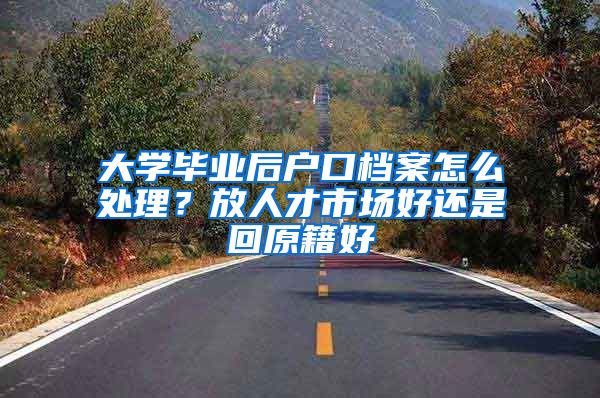 大学毕业后户口档案怎么处理？放人才市场好还是回原籍好