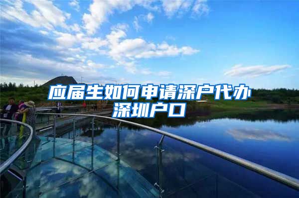 应届生如何申请深户代办深圳户口