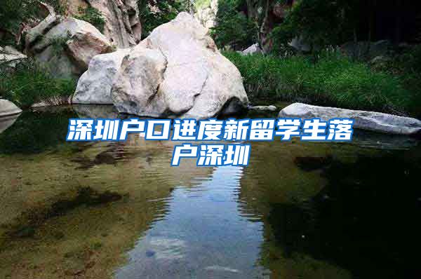 深圳户口进度新留学生落户深圳