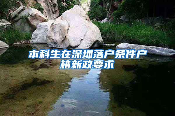 本科生在深圳落户条件户籍新政要求