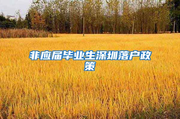 非应届毕业生深圳落户政策