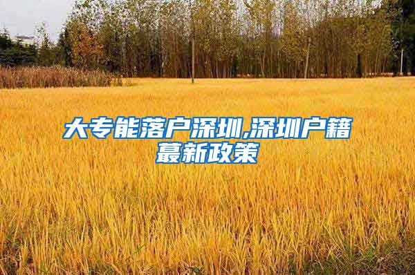 大专能落户深圳,深圳户籍蕞新政策