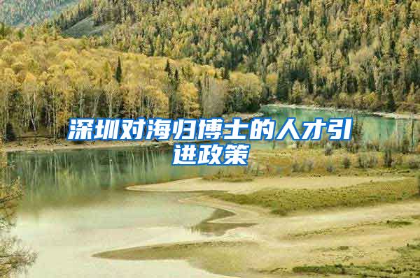 深圳对海归博士的人才引进政策