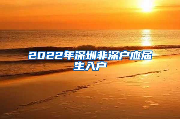 2022年深圳非深户应届生入户
