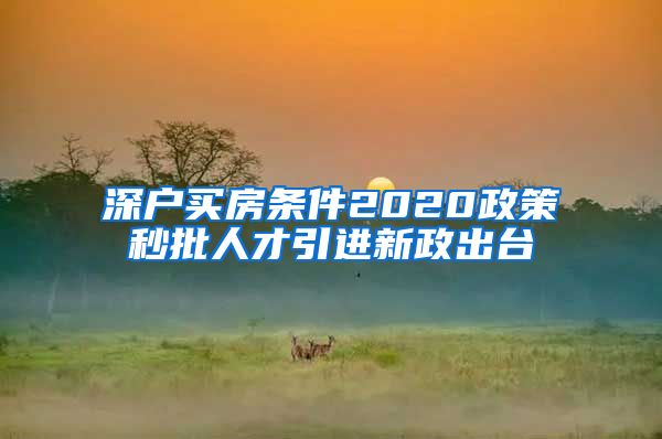 深户买房条件2020政策秒批人才引进新政出台