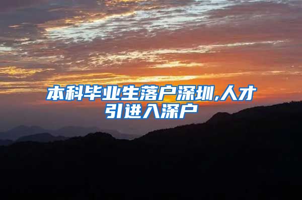 本科毕业生落户深圳,人才引进入深户