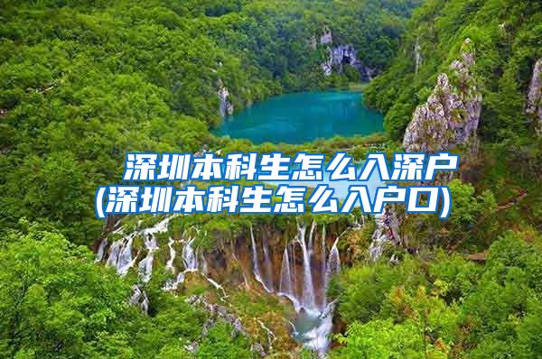 ■ 深圳本科生怎么入深户(深圳本科生怎么入户口)