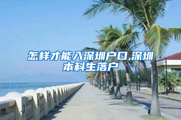 怎样才能入深圳户口,深圳本科生落户