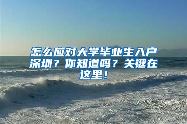 怎么应对大学毕业生入户深圳？你知道吗？关键在这里！