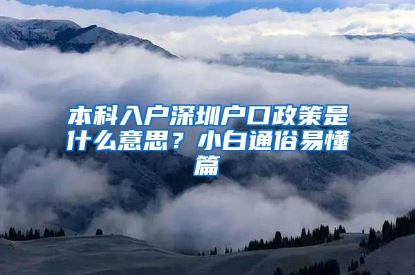 本科入户深圳户口政策是什么意思？小白通俗易懂篇