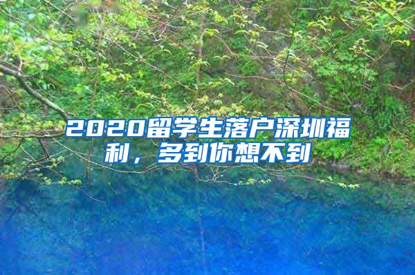2020留学生落户深圳福利，多到你想不到