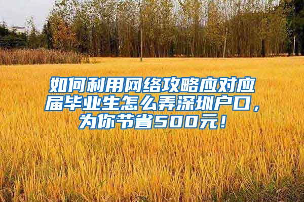 如何利用网络攻略应对应届毕业生怎么弄深圳户口，为你节省500元！