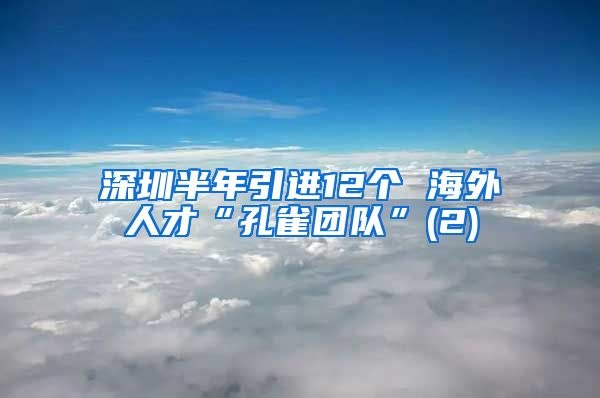 深圳半年引进12个 海外人才“孔雀团队”(2)