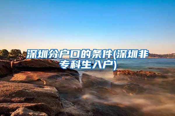 深圳分户口的条件(深圳非专科生入户)