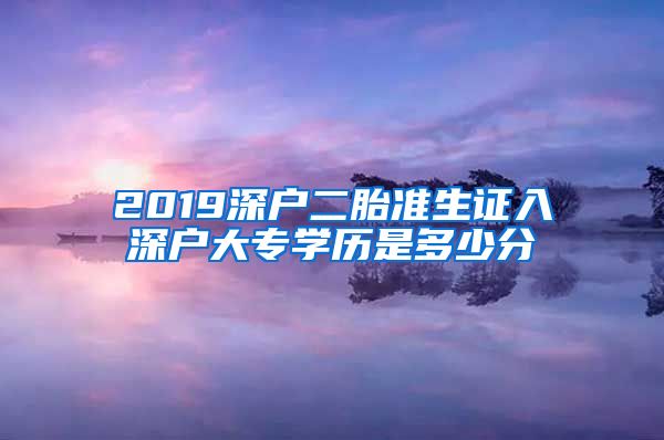 2019深户二胎准生证入深户大专学历是多少分