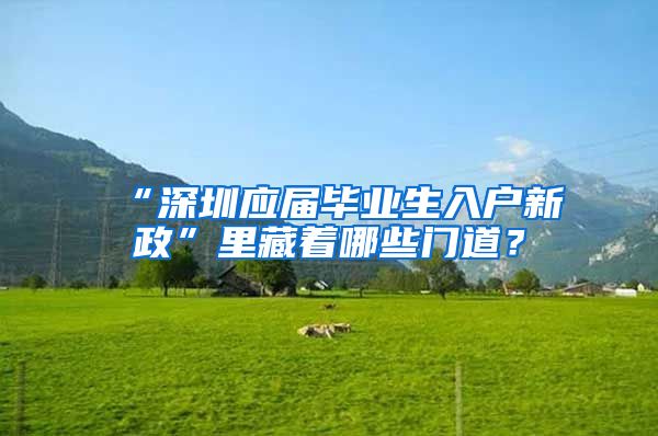 “深圳应届毕业生入户新政”里藏着哪些门道？