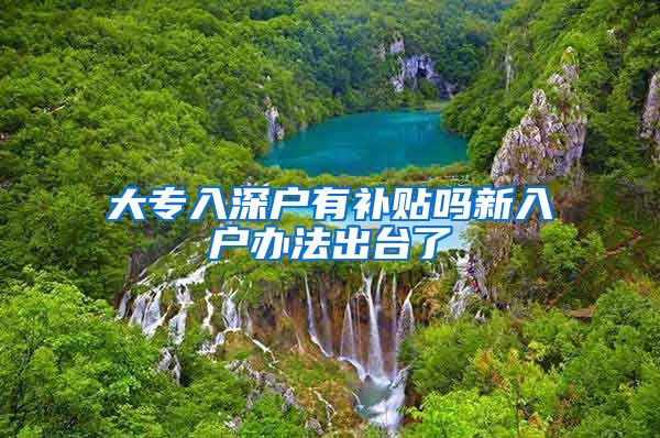 大专入深户有补贴吗新入户办法出台了