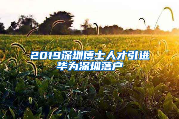 2019深圳博士人才引进华为深圳落户