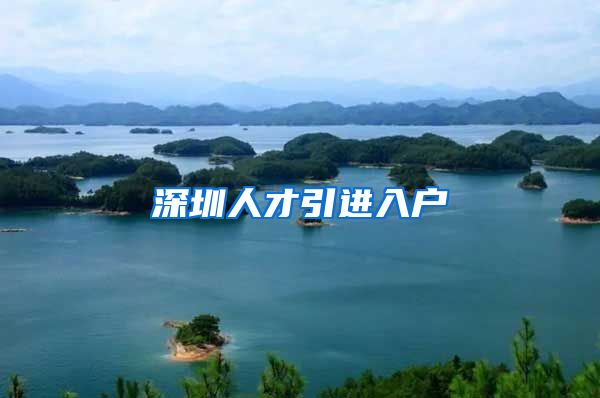 深圳人才引进入户